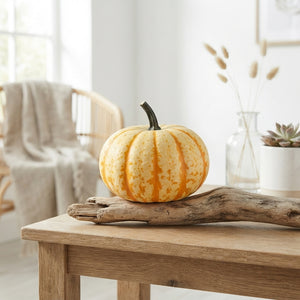 Decorative Mixed Cucurbita Gourds – Set of 4