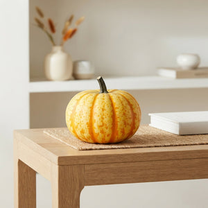 Mixed Ornamental Gourds and Pumpkins – Decorative Display