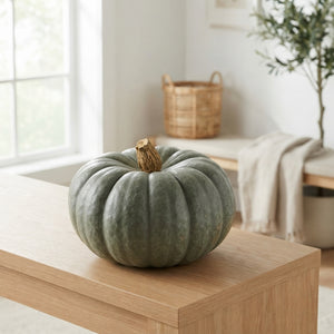 Jarrahdale Ornamental Pumpkin – Large Decorative Fruit