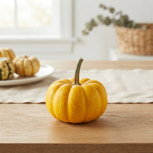 Mixed Ornamental Gourds – Decorative Pumpkin Collection