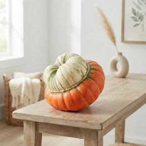 Turban Squash Ornamental Fruit – Orange