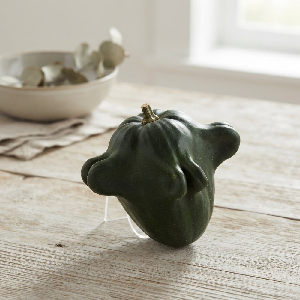 Yugoslavian Fingers Ornamental Gourds – Mixed