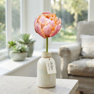 Pink Star Double Late Tulip Bulbs – 7 Pack