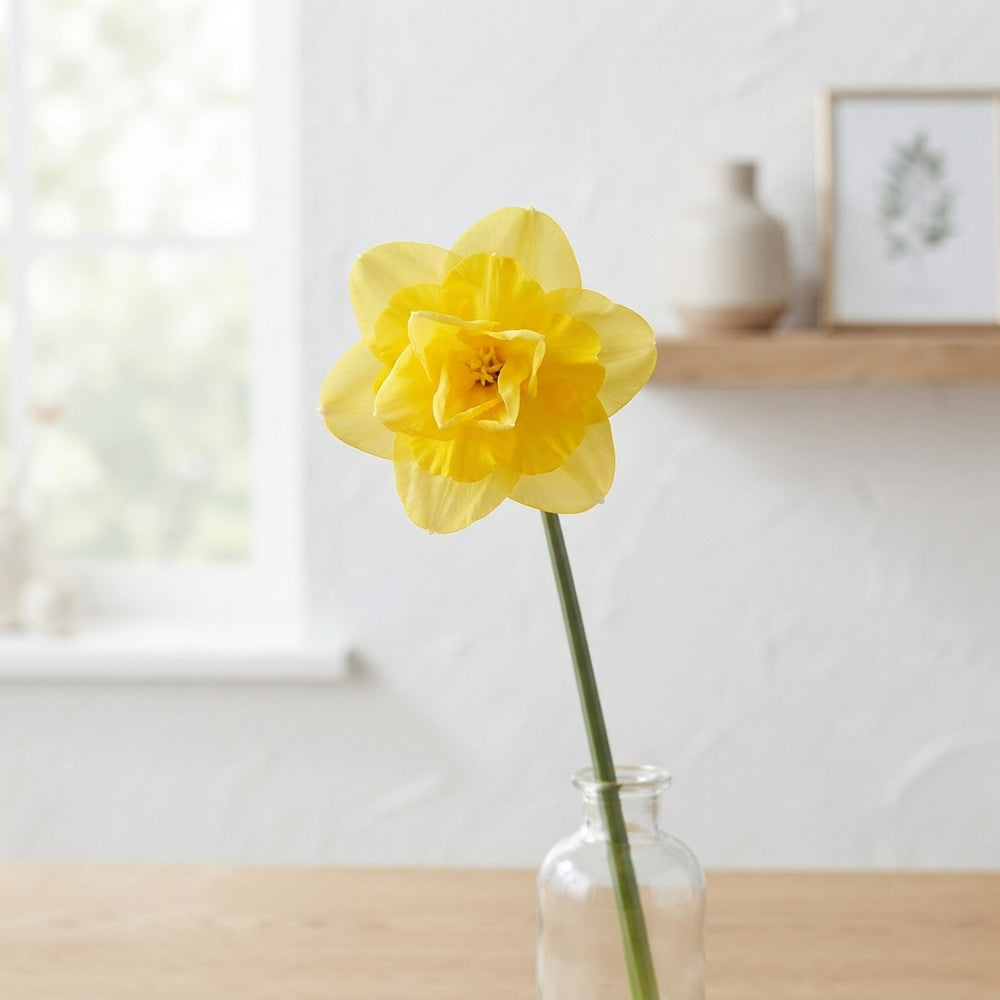 Narcissus ‘Yellow Cheerfulness’ Flower Bulbs – Pack of 5