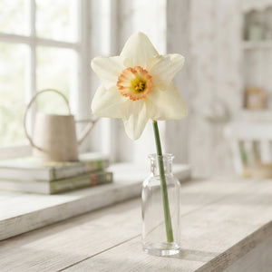 Narcissus ‘High Society’ Daffodil Bulbs – Pack of 5