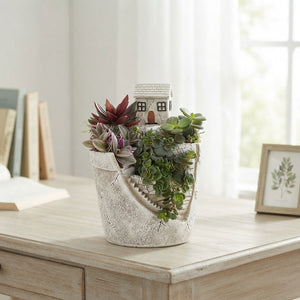 Stairway to Eden Mixed Plant Arrangement – 17cm Ceramic Pot