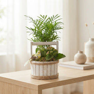 Round Wooden Arrangement – 15cm Pot