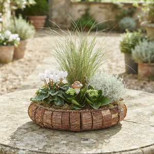 Outdoor Arrangement in Oval Wooden Planter – 37cm