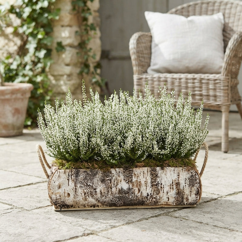 Outdoor Birch Arrangement in Rectangular Wooden Trough – 36cm