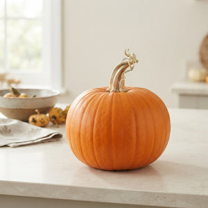 Halloween Ornamental Fruit Plant – 2 Fruits