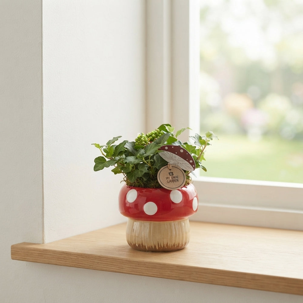 Indoor Mushroom Arrangement – 15cm Ceramic Pot