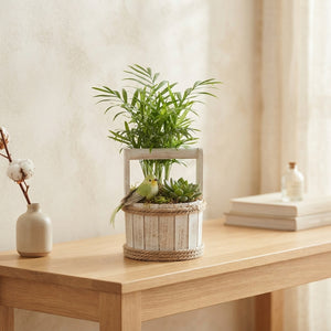 Round Wooden Arrangement – 15cm Pot