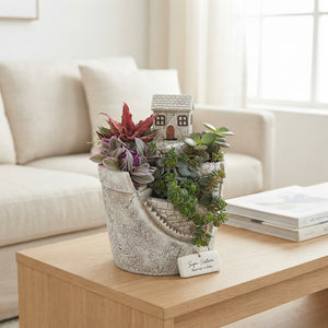 Stairway to Eden Mixed Plant Arrangement – 17cm Ceramic Pot