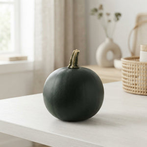 Decorative Mixed Gourds – Black Cat Collection
