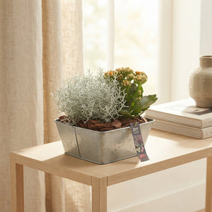 Garden Plant Arrangement in Willow Pot – 29cm