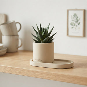 Soft-Touch Succulent Arrangement – 26cm Pot
