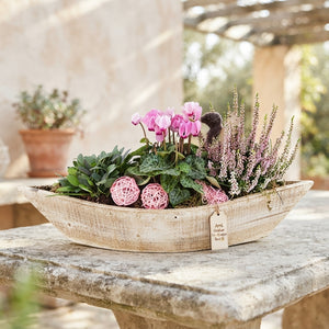 Outdoor Arrangement in Extra-Large Wooden Boat – 56cm