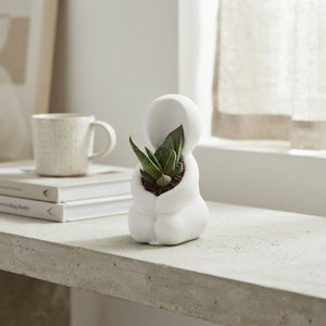 Mini Succulent Arrangement – 5cm Concrete Pot