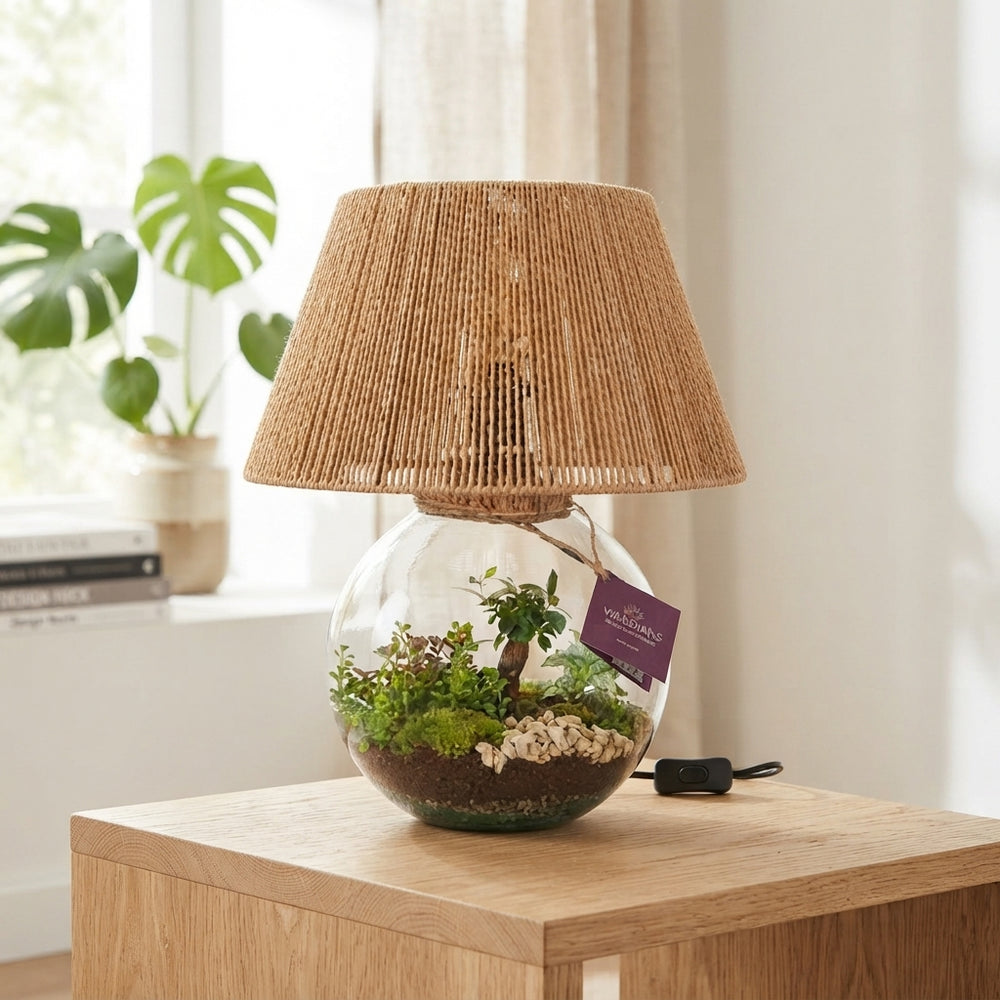 Moonlight Lamp Glass Terrarium Arrangement – 36cm