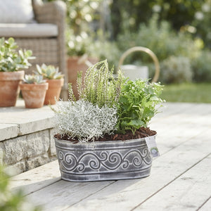 Outdoor Green Arrangement in Oval Zinc Planter – 28cm