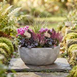 Outdoor Plant Arrangement in Grey Stone Bowl – 26cm