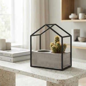 Mixed Cactus Collection – 16cm Pot