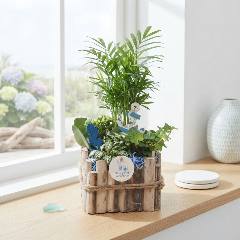Verona Small Maritime Plant Arrangement – 18cm Wooden Pot
