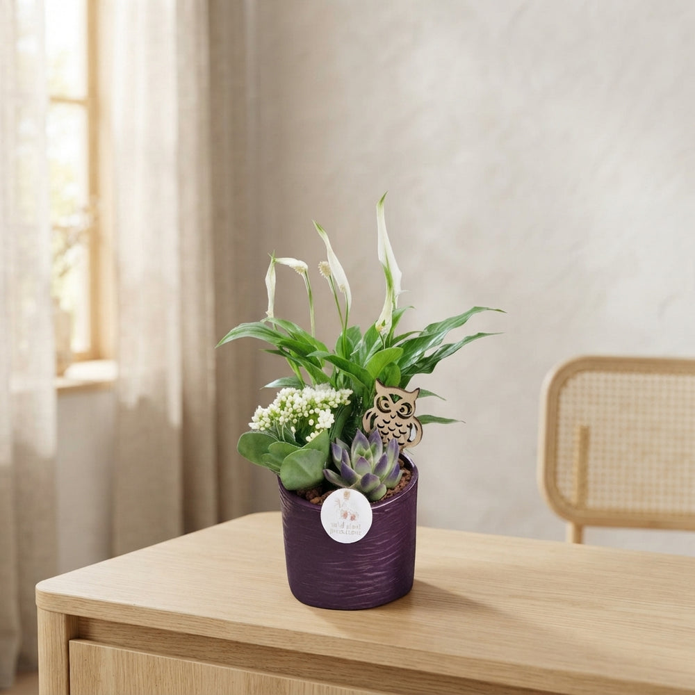 Seasonal Autumn Plant Arrangement – 13cm Ceramic Pot