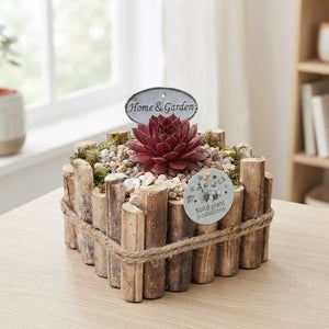 Sempervivum Arrangement – 18cm Wooden Pot