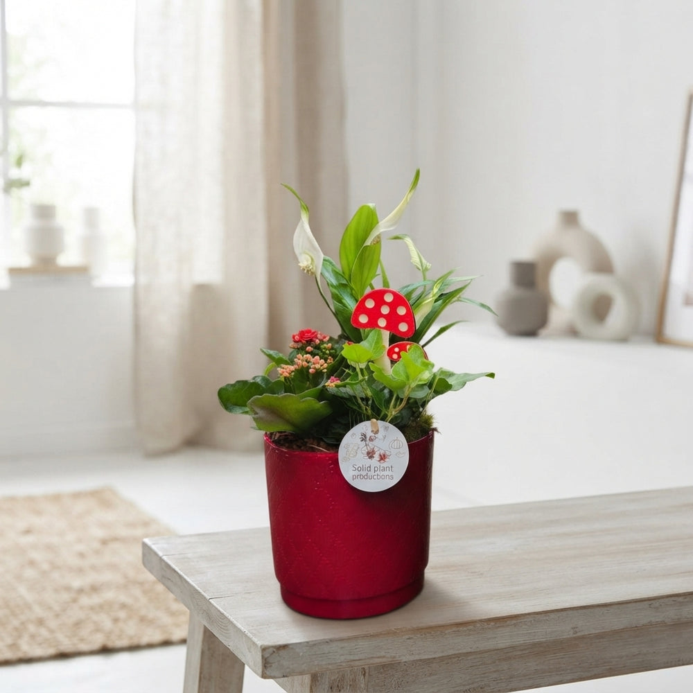 Autumn Mixed Plant Arrangement – 14cm Ceramic Pot
