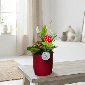 Autumn Mixed Plant Arrangement – 14cm Ceramic Pot