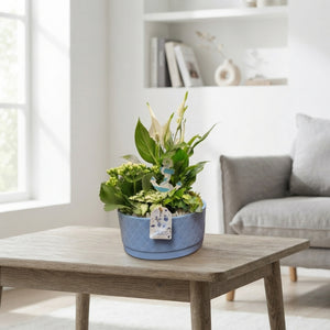 Opm Sp Summer Mix Arrangement – 18cm Ceramic Pot