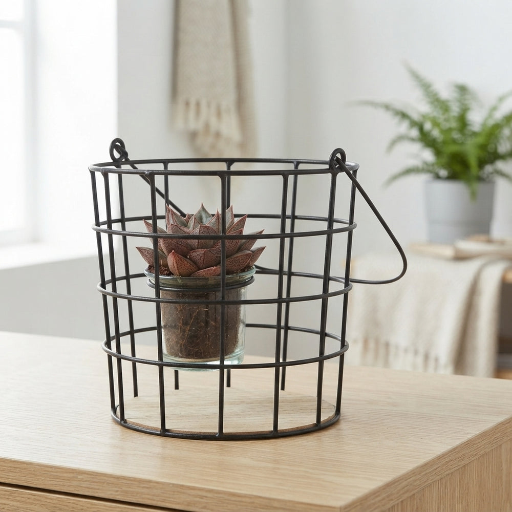Succulent Arrangement in Metal Wire Basket with Glass – 17cm