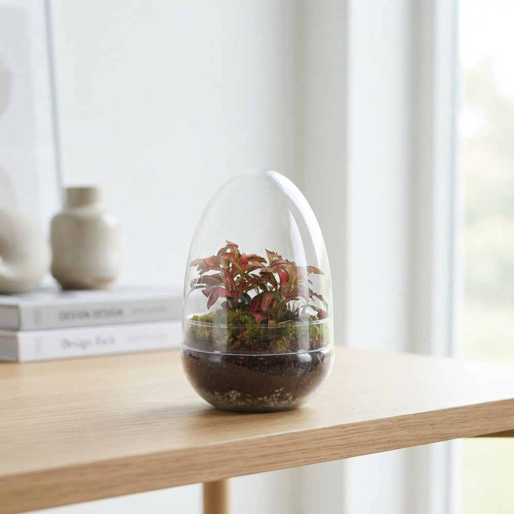 Small Mixed-Colour Terrarium Arrangement – 12.5cm Glass Pot