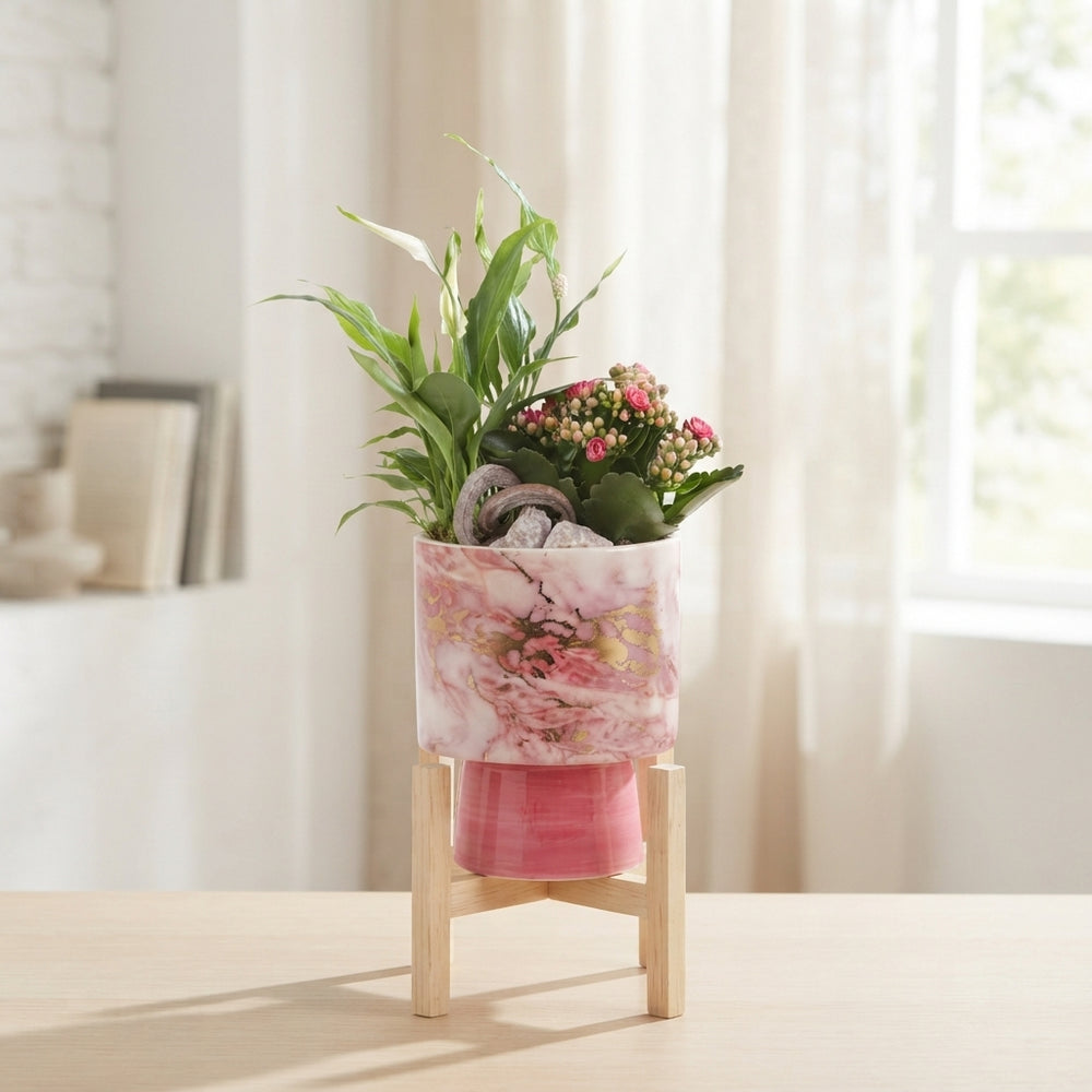 Fresh Breeze Indoor Plant Arrangement – 14cm Ceramic Pot