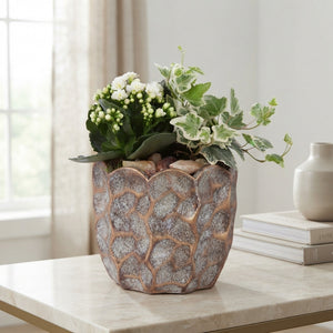 Pure Luxury Indoor Plant Arrangement – 15cm Ceramic Pot