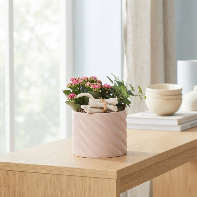 Soft Elegance Indoor Plant Arrangement – 14cm Ceramic Pot