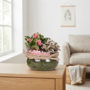 Year-Round Indoor Plant Arrangement in Glass Bowl with Rope
