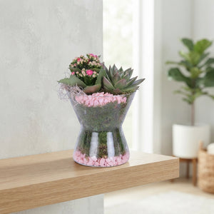 Indoor Glass Ball Plant Arrangement – 15cm