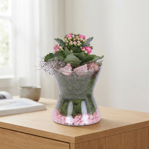 Year-Round Indoor Plant Arrangement in Glass Hourglass – 13cm