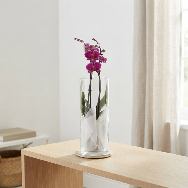 Mixed Phalaenopsis Orchid – 2 Stem, 12cm Pot
