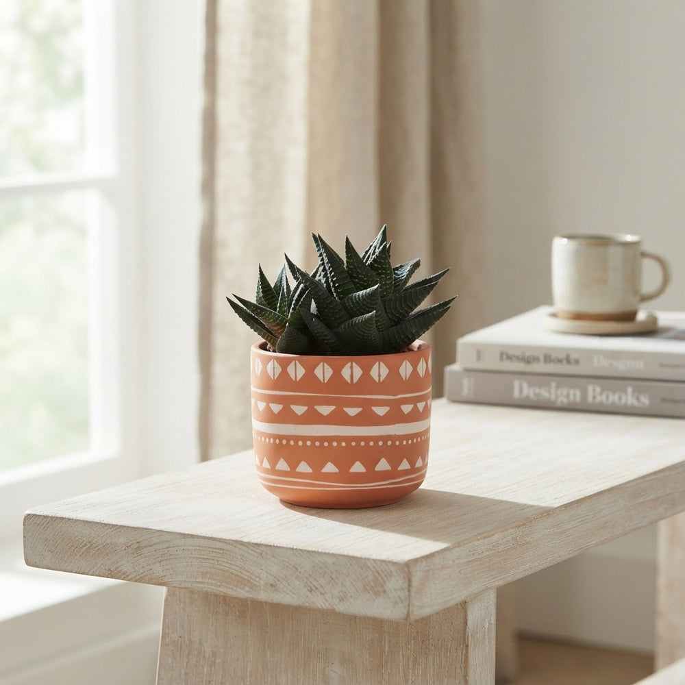 Mixed Succulent Arrangement – 10cm Ceramic Pot