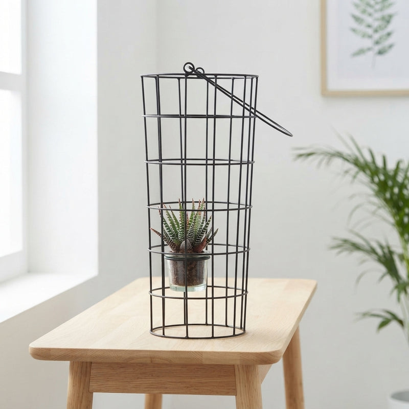 Succulent Arrangement in Metal Wire Basket with Glass – 18cm