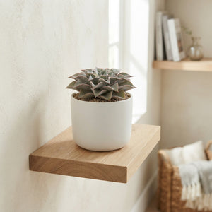 Echeveria Maradiba Succulent – 13cm Pot