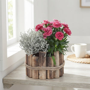 Wooden Potted Green Plant Arrangement – 17cm Pot