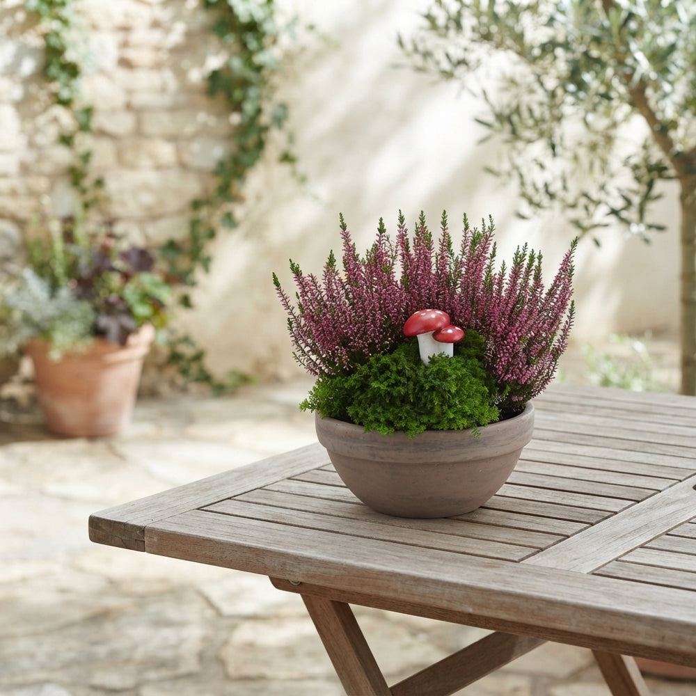 Oval Wooden Plant Arrangement – 20cm