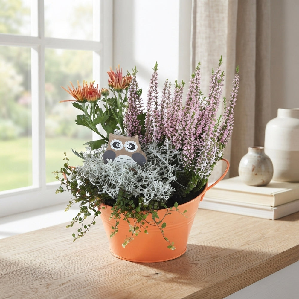 Zinc Round Ornamental Plant Arrangement – 18cm Pot