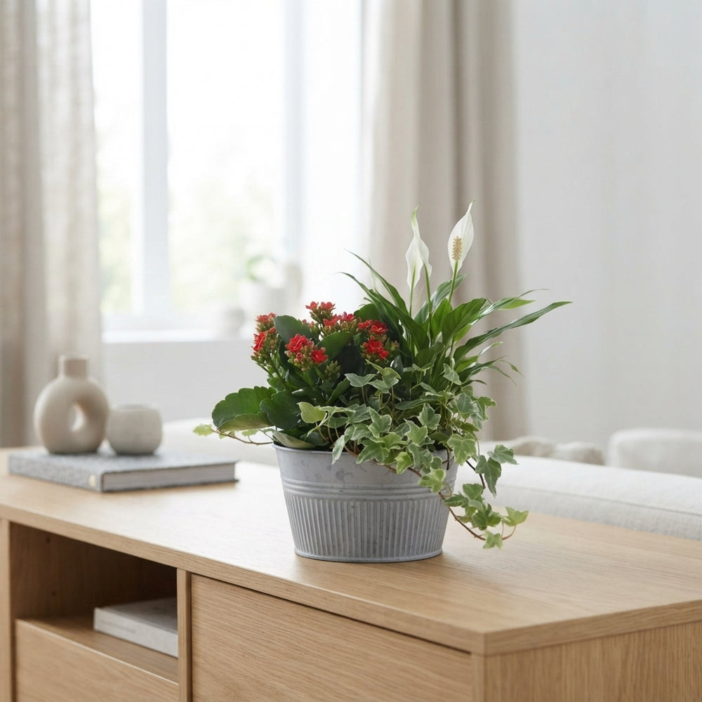 Zinc Planter Arrangement – 18cm Pot