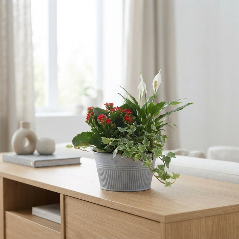 Zinc Planter Arrangement – 18cm Pot