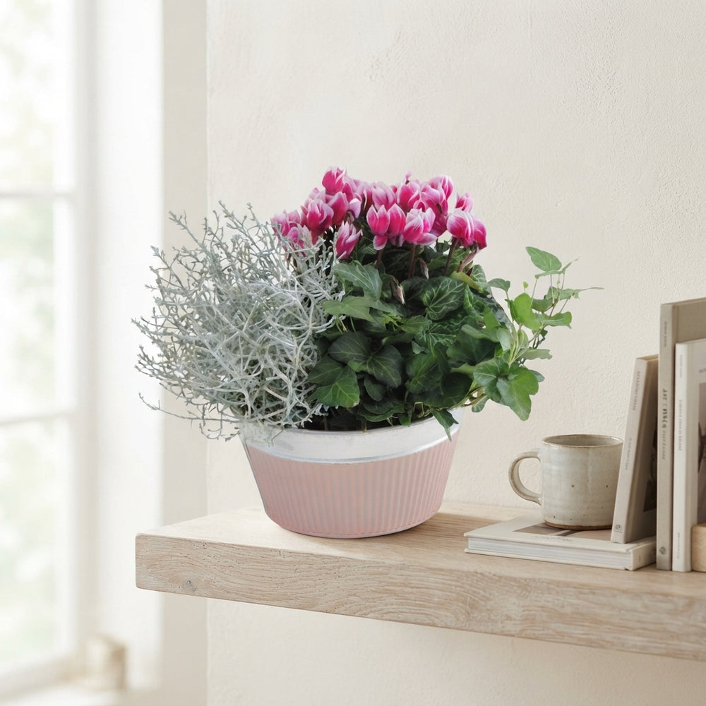 Zinc Ornamental Plant Arrangement – 18cm Pot